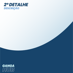 AnyPlace Mag - O Suporte Articulado de Bolso com Fixação à Prova de Impacto