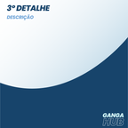 AnyPlace Mag - O Suporte Articulado de Bolso com Fixação à Prova de Impacto