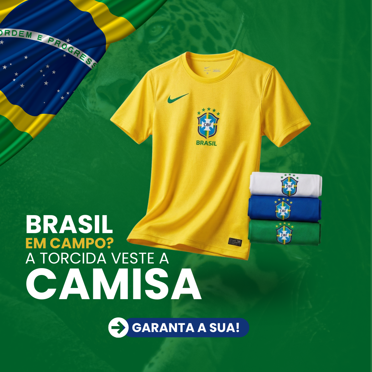 Camiseta De Time Brasil Torcedor Esportiva Dry Fit Cores